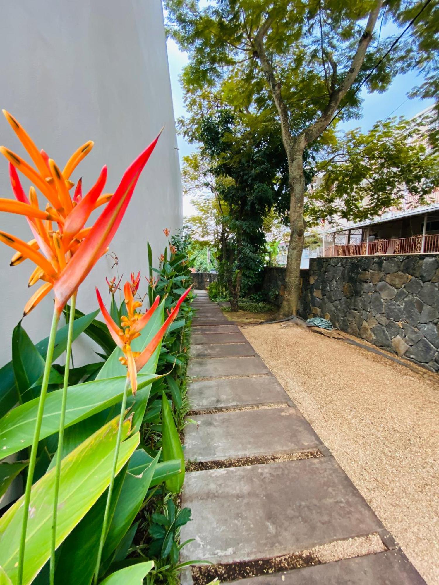 Belle Haven Gf 1Bedroom Flat Mont-Choisy Esterno foto